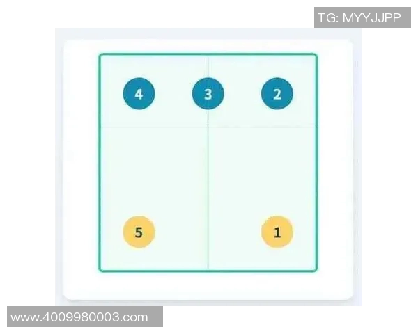 武汉排球队的节奏打法深度分析与战术解读 武汉排球队的节奏打法深度分析与战术解读